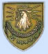 Korps Politietroepen